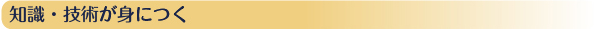 知識・技術が身につく