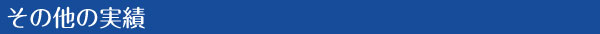 その他の実績